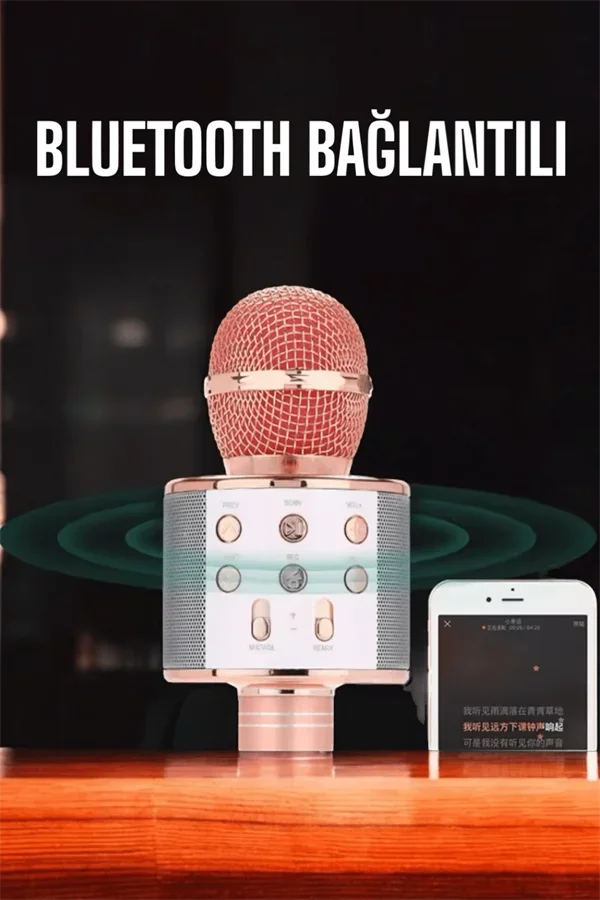 Kablosuz Bluetooth Karaoke krofon USB ve AUX Girişli, Yüksek Ses Kalitesi görsel 5