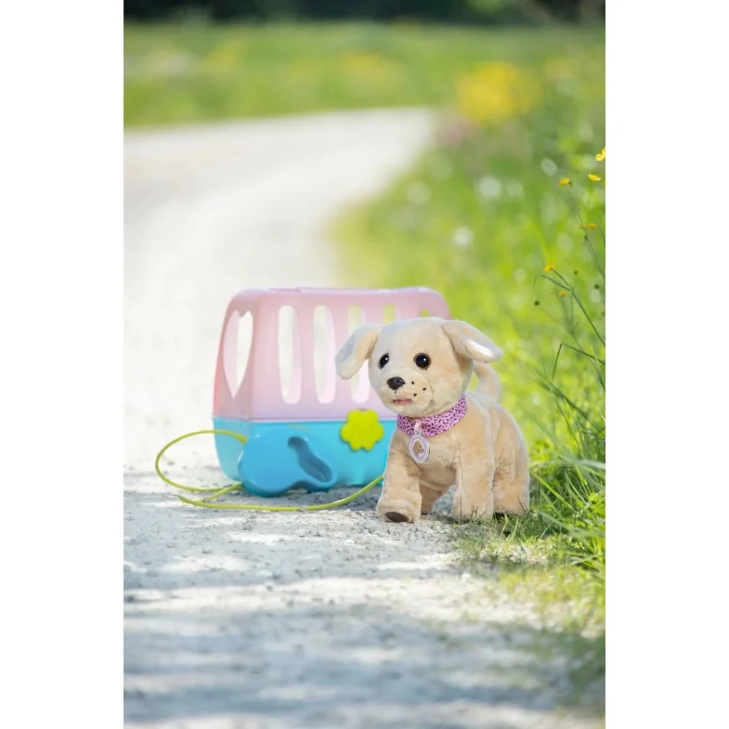 Köpeğim Lucky görsel 2