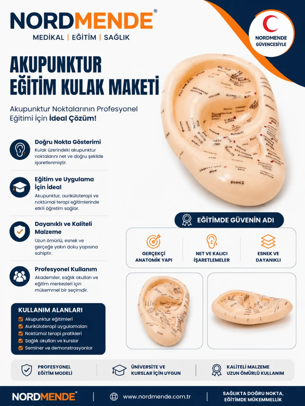 NORDMENDE Akupunktur Eğitim Kulak Maketi Auriküloterapi Nokta Gösterim Anatomik Eğitim Modeli görsel 3