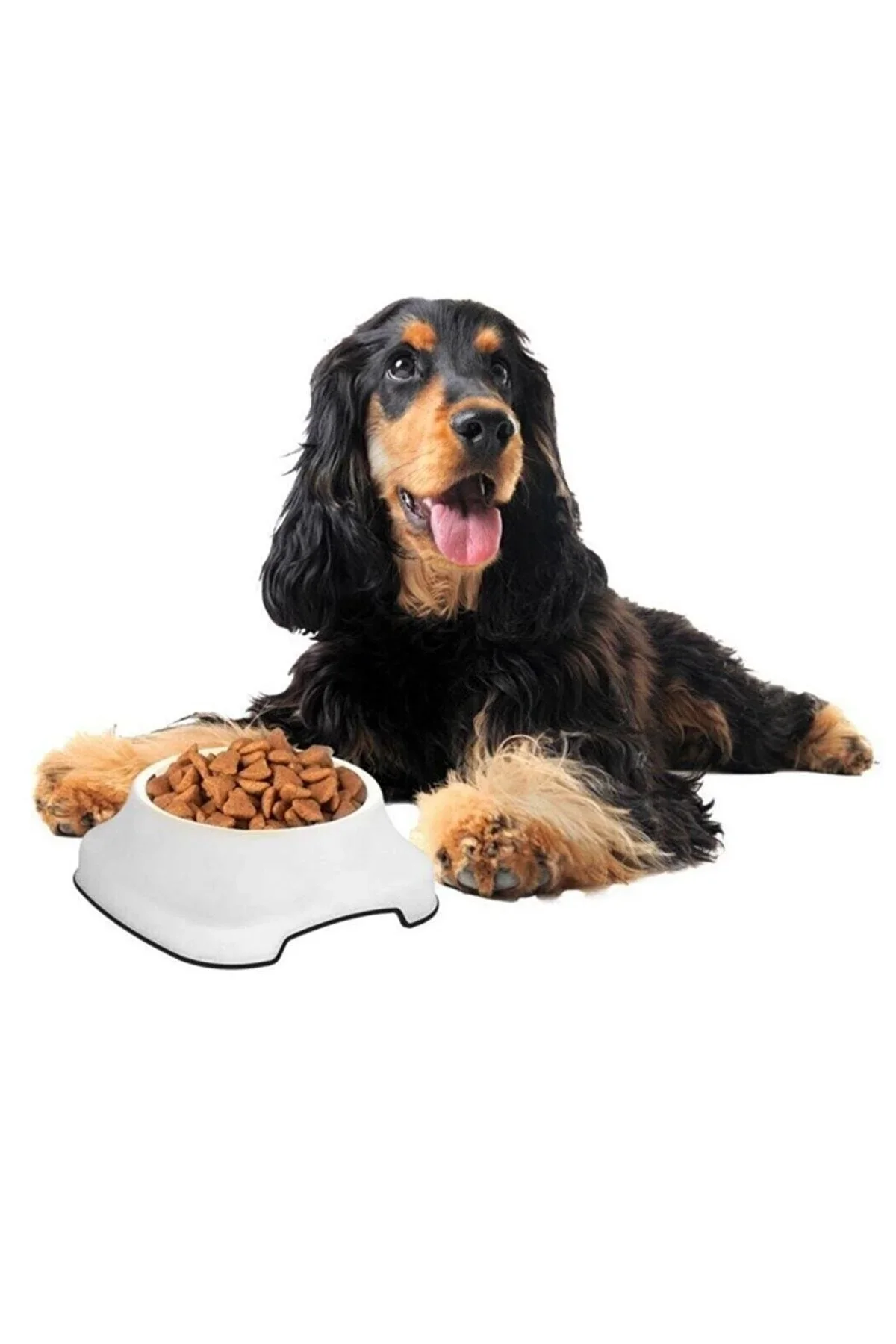 Silikon Kaydırmaz Taban Plastik Kedi ve Köpek Mama ve Su Kabı 2 L görsel 6