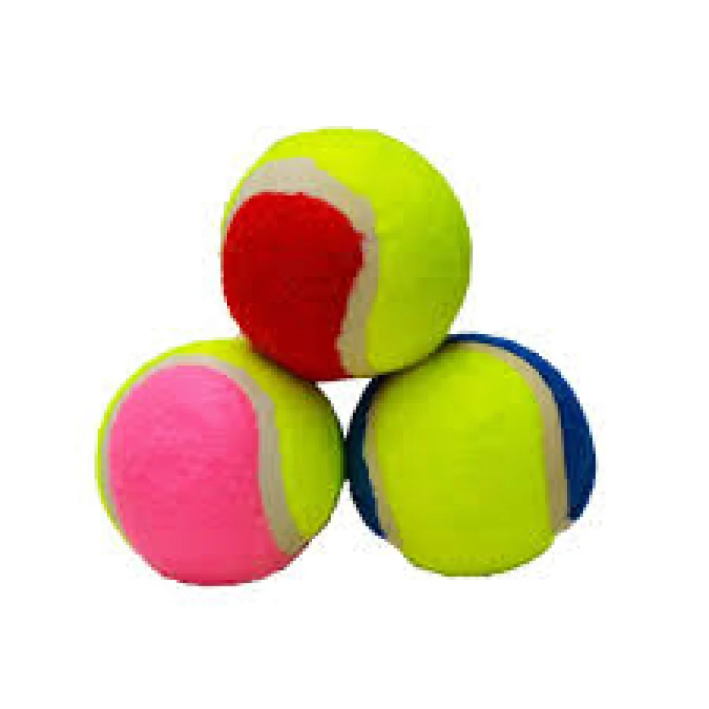 Petzoom Köpek Oyun Topu Tenis Topu *** görsel 2