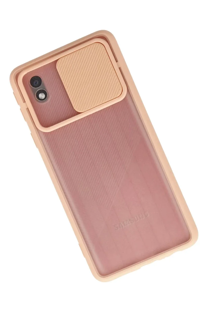 Samsung Galaxy A01 Core Kılıf Palm Buzlu Kamera Sürgülü Silikon - Pembe görsel 2
