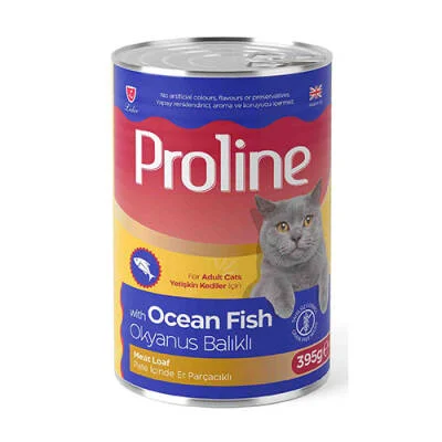 Okyanus Balıklı Pate Yetişkin Kedi Konservesi 12 Adet 395 Gr