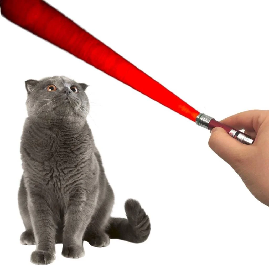 3 Fonksiyonlu Kırmızı Beyaz Işıklı Led Lazer Kedi Köpek Oyuncak Anahtarlık - 1 Adet Stokta Olan Renk Gönderilir görsel 3
