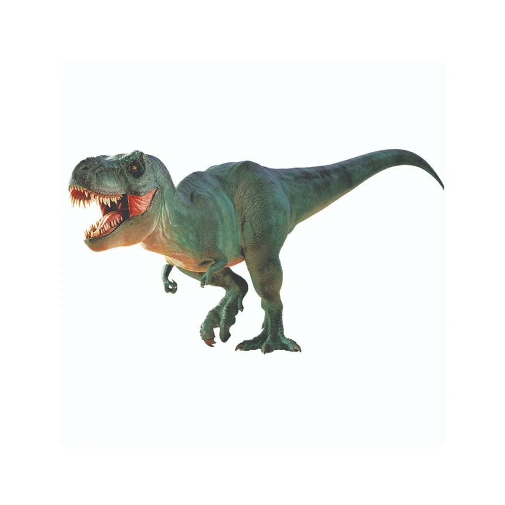 NAT06002Dino Kazı Kiti - RTNGDINO2 +8 yaş görsel 3