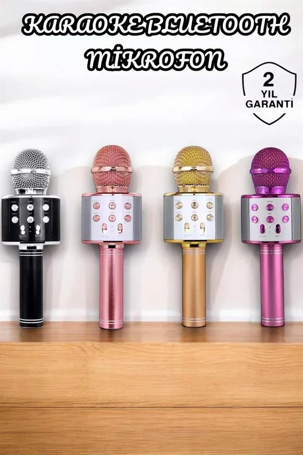 Şarjlı ve Uzun Pil Ömürlü Karaoke krofon USB Bellek Destekli, Profesyonel Ses görsel 2