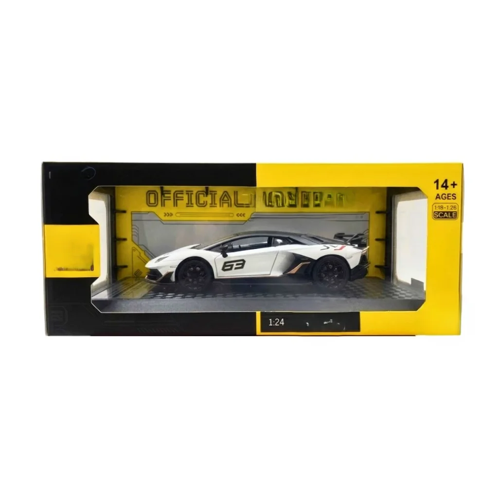 1/24 Model Araba