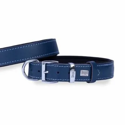 Konfor Deri Köpek Boyun Tasması Royalblue 2,5x37 45 Cm