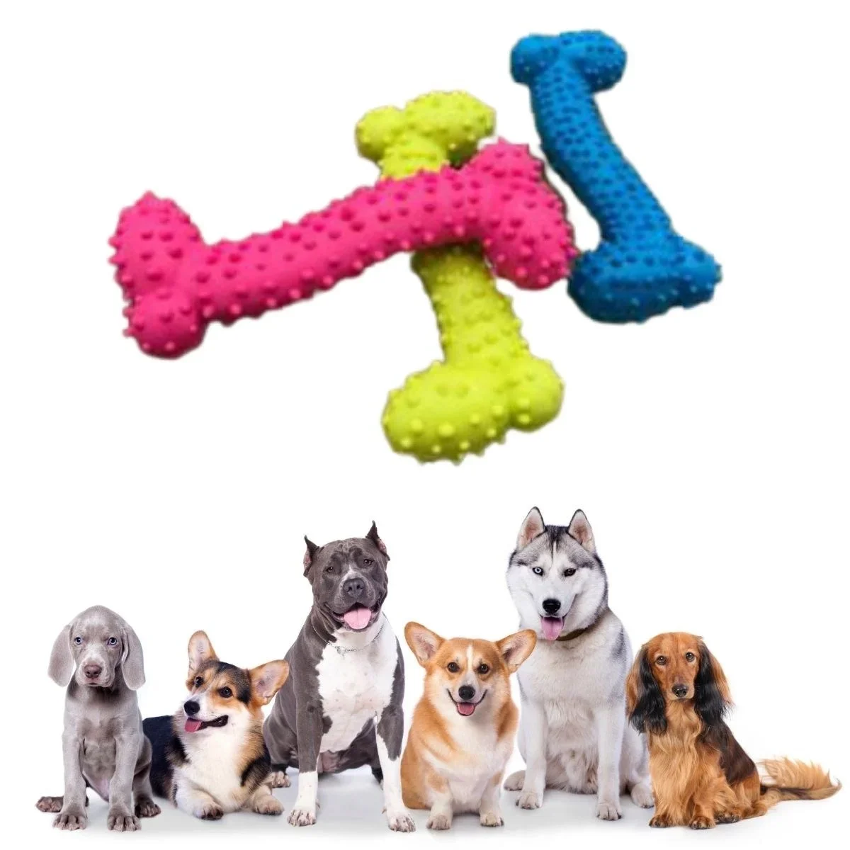 Tiny Kek Oyuncağı Tırtıklı Yüzey Küçük Kek Plastik Köpek Oyuncağı