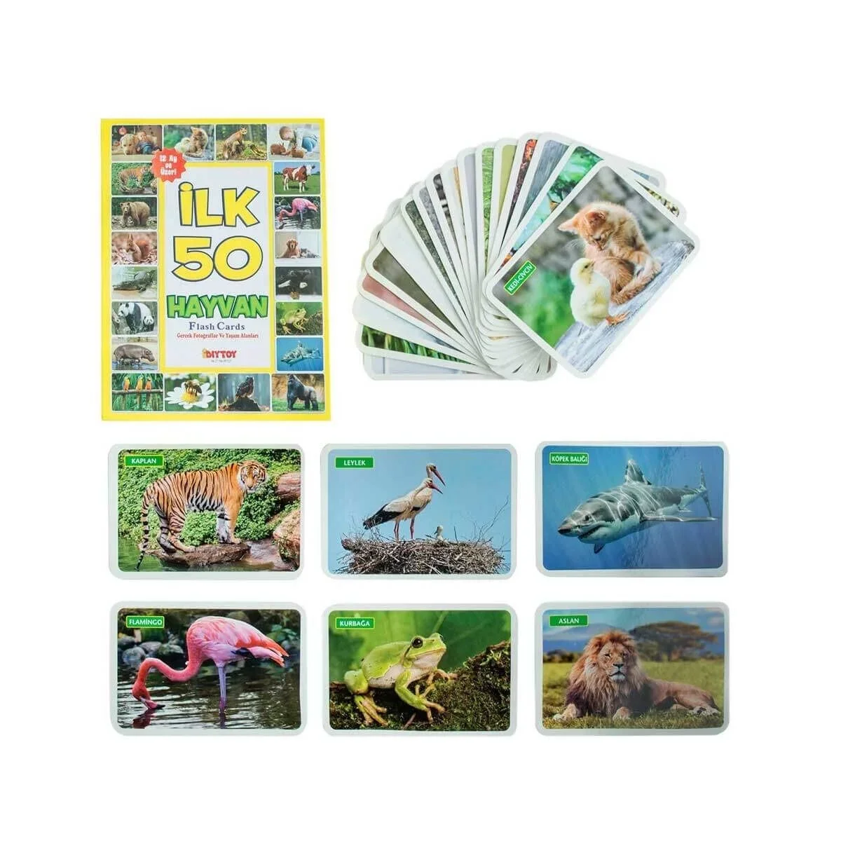 1352 F.cards İlk 50 Hayvan görsel 2