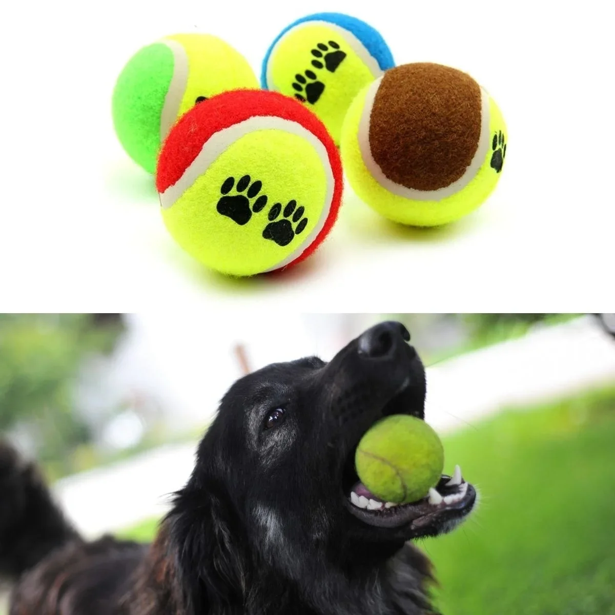 3lü Renkli Desenli Tenis Topu Kedi Köpek Oyuncağı görsel 3