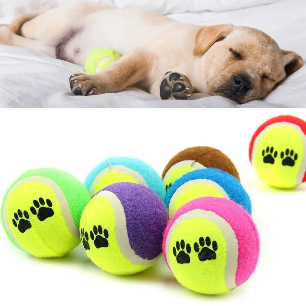 3lü Renkli Desenli Tenis Topu Kedi Köpek Oyuncağı görsel 5