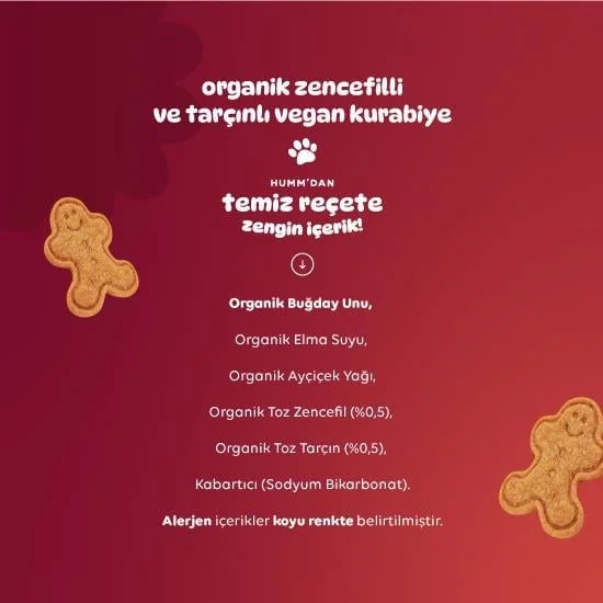 Organik Zencefilli ve Tarçınlı Vegan Kurabiye 55 Gr görsel 4