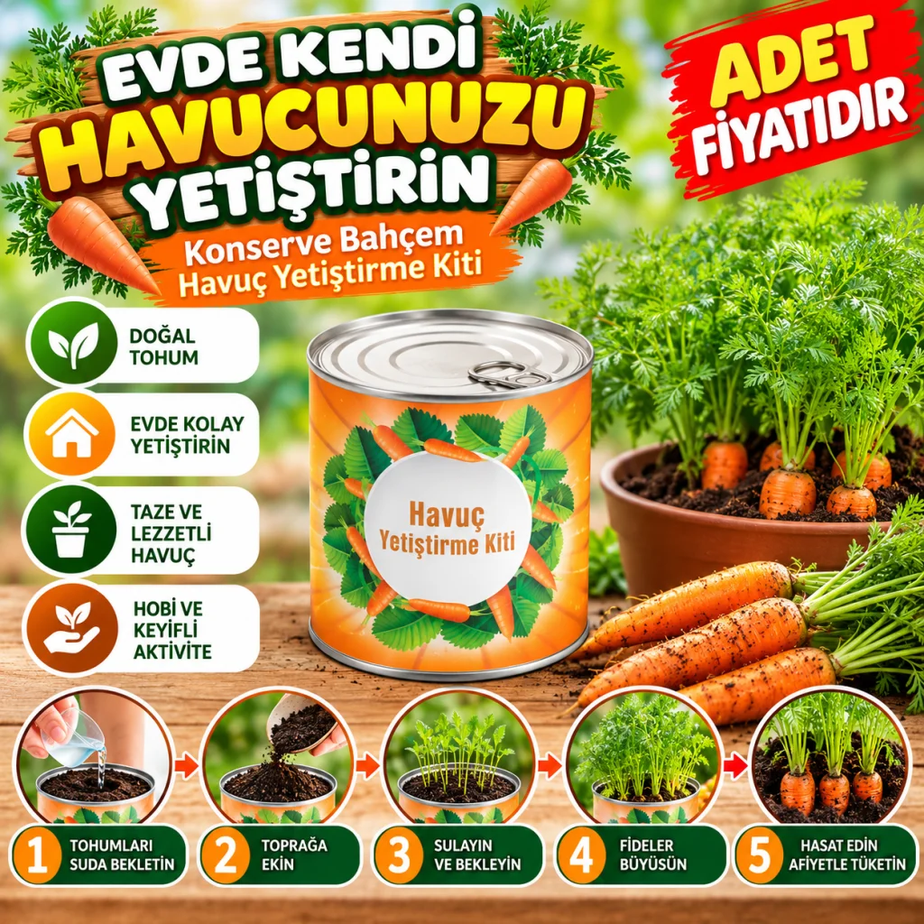Konserve Bahçem Evde Konservede Havuç Yetiştirme Büyütme Kiti