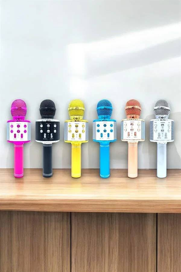 Taşınabilir Bluetooth Karaoke krofon: Hafıza Kart Girişli, Etkileyici Performans görsel 3