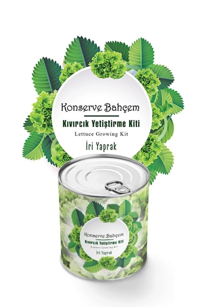 Konserve Bahçem Evde Konservede İri Yapraklı Kıvırcık Yetiştirme Kiti görsel 3