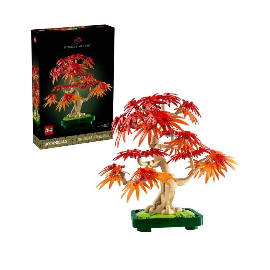 10348 iconic Japon Akçaağaç Bonsai Ağacı 474 parça +18 yaş