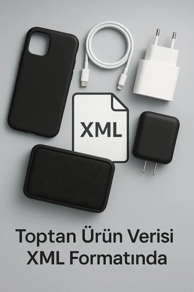 Online Çıktı Hizmeti/xml 1 Yıllık