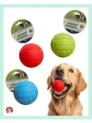 Pet vogue evcil hayvan hentbol topu