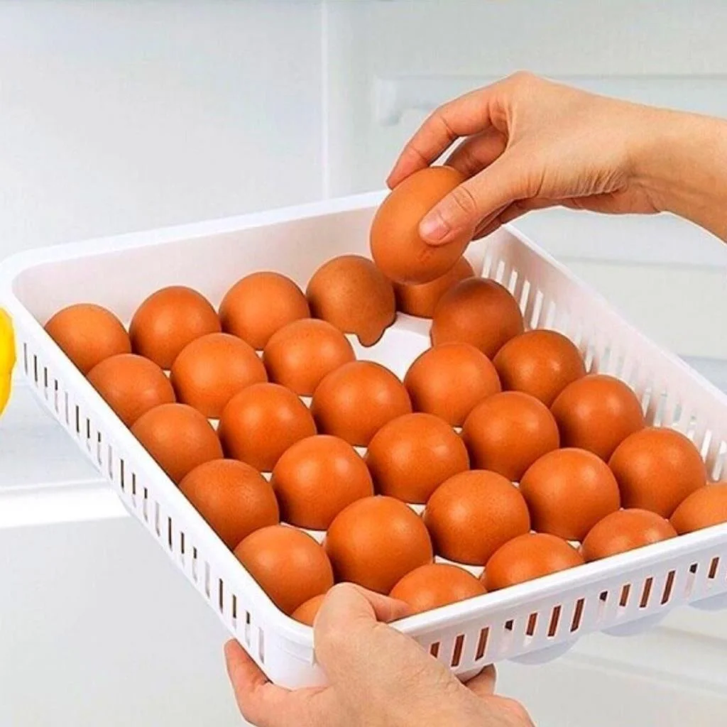 15liYumurta Saklama Kabı görsel 2