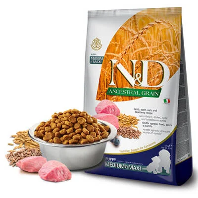 Ancestral Grain Kuzulu Yaban Mersinli Orta ve Büyük Irk Düşük Tahıllı Yavru Köpek Maması 12 Kg