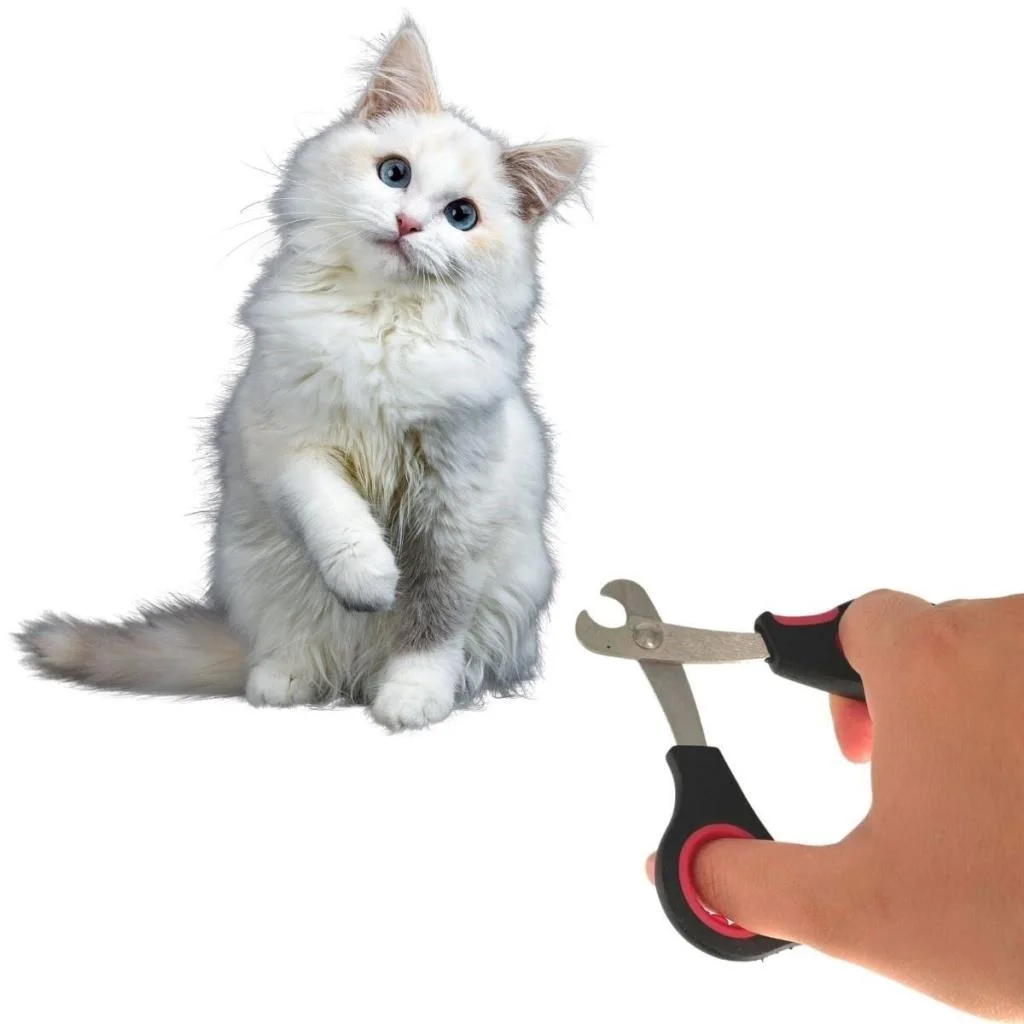 Büyük Irk Köpek Kedi Çelik Uçlu Evcil Hayvan Tırnak Makası Pati Bakım Aleti Ergonomik Kaymaz (adet fiyatıdır) görsel 3