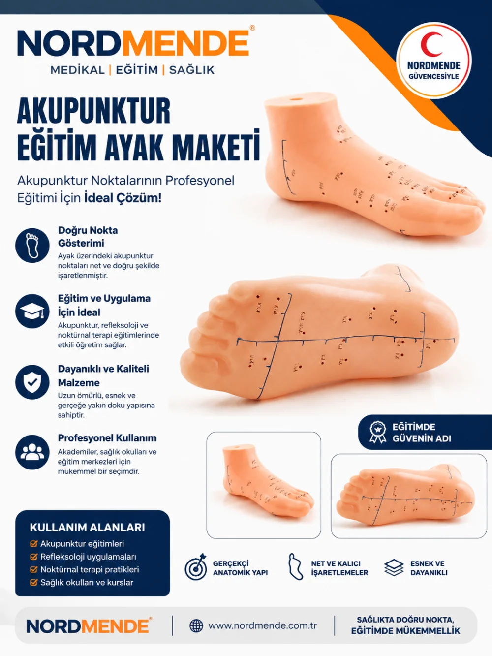 NORDMENDE Akupunktur Eğitim Ayak Maketi Anatomik Refleksoloji Nokta Gösterim Modeli Eğitim Maketi görsel 2