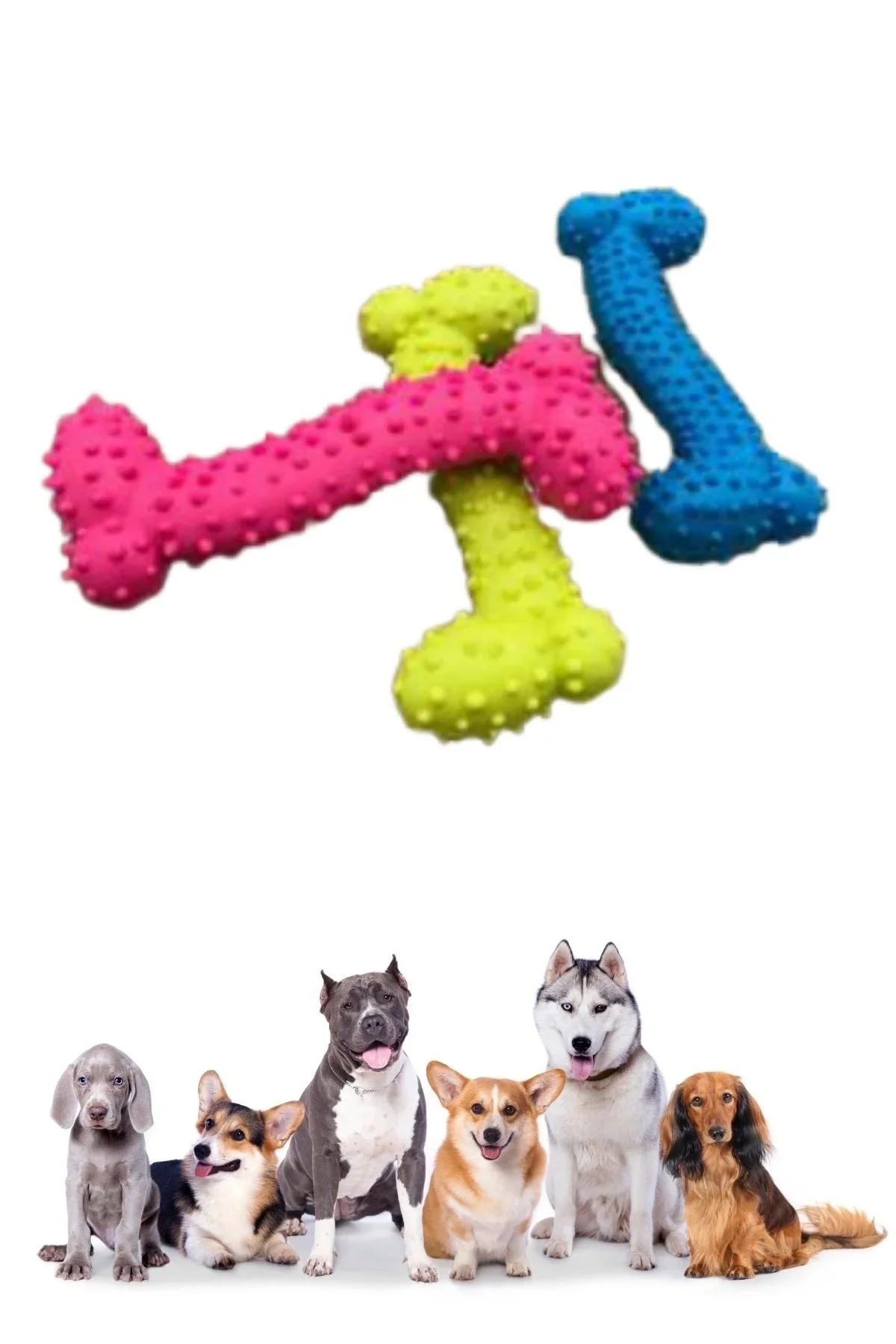 Tiny Kek Oyuncağı Tırtıklı Yüzey Küçük Kek Plastik Köpek Oyuncağı görsel 5