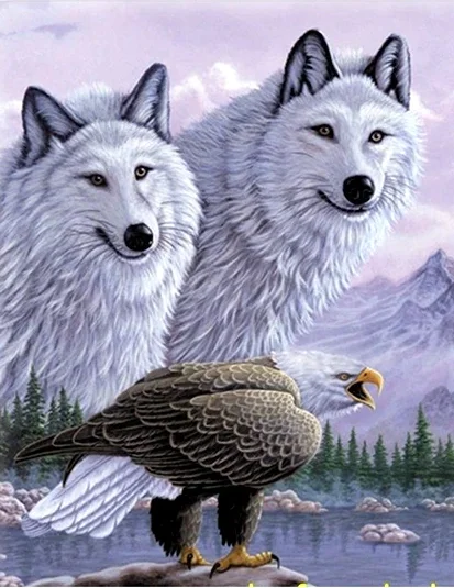 3 Boyutlu Resim Kartallı Kurt Res Tablosu 40x60 Cm