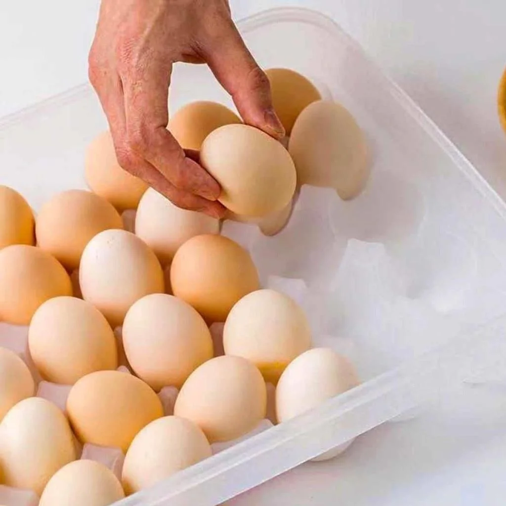 30lu Yumurta Saklama Kabı görsel 4