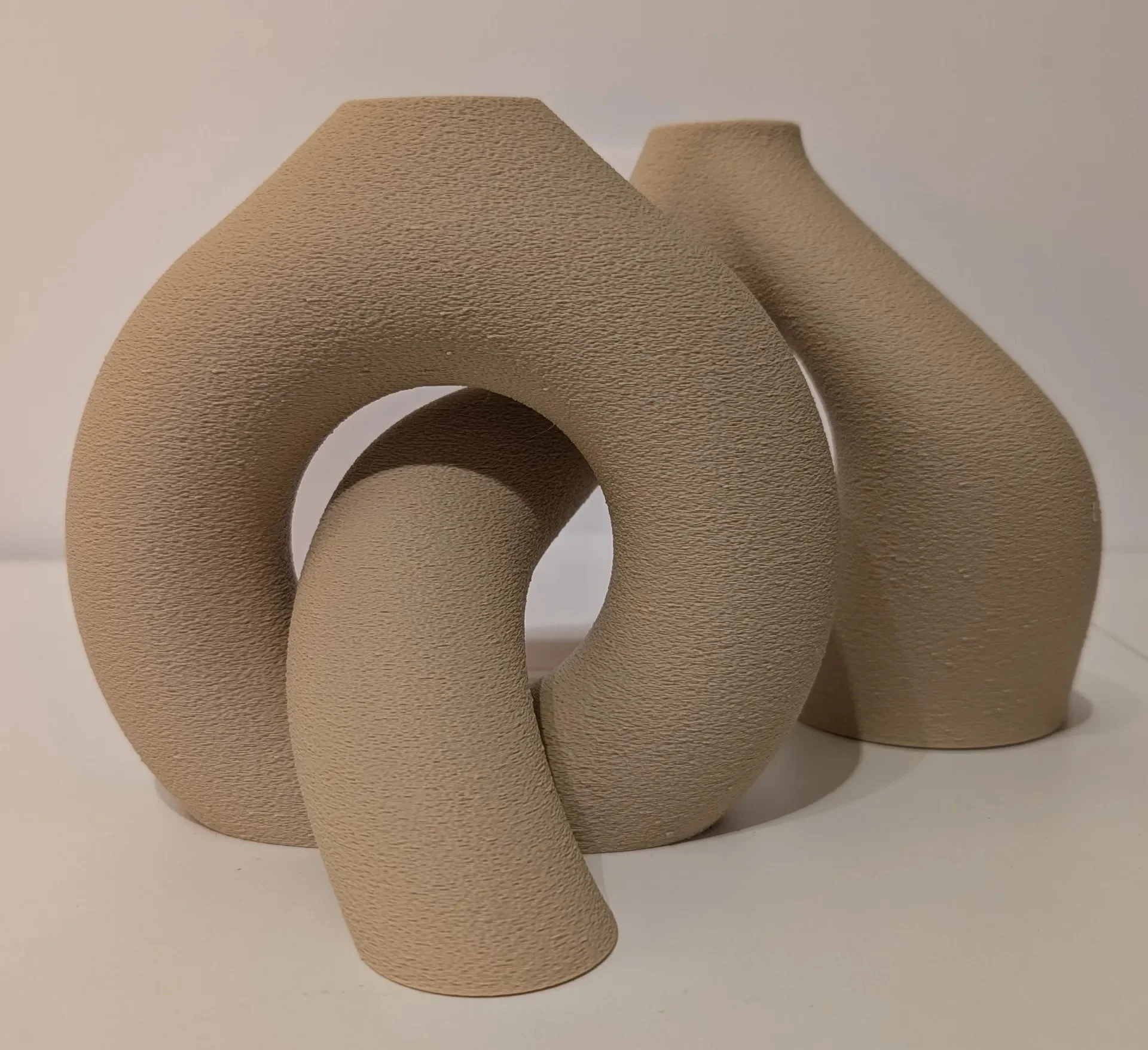 3D Baskı 2li Organik Formlu Vazo Seti Kum Dokulu Modern Kuru Çiçeklik Bej Dekoratif İkili Set