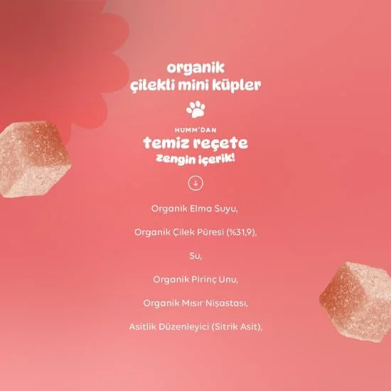 Organik Çilekli Glutensiz Vegan Mini Küpler 30 Gr görsel 4