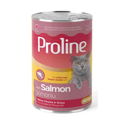 Somon Etli Sos İçinde Gravy Yetişkin Kedi Konservesi 12 Adet 400 Gr