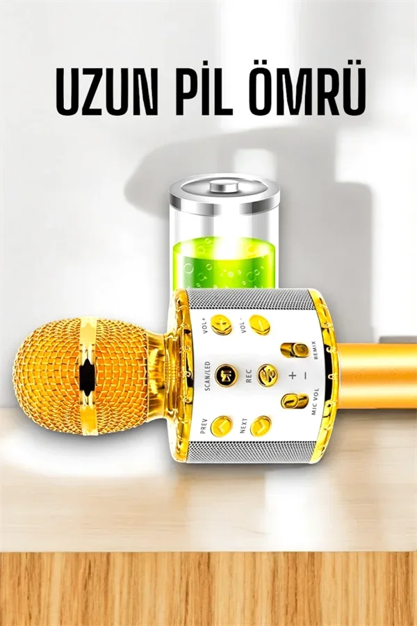Kablosuz Bluetooth Karaoke krofon USB ve AUX Girişli, Yüksek Ses Kalitesi görsel 4