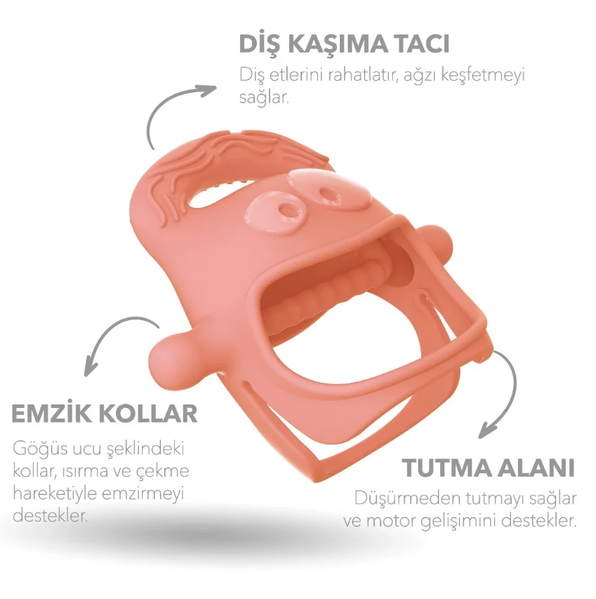 Diş Kaşıyıcı Somon görsel 2