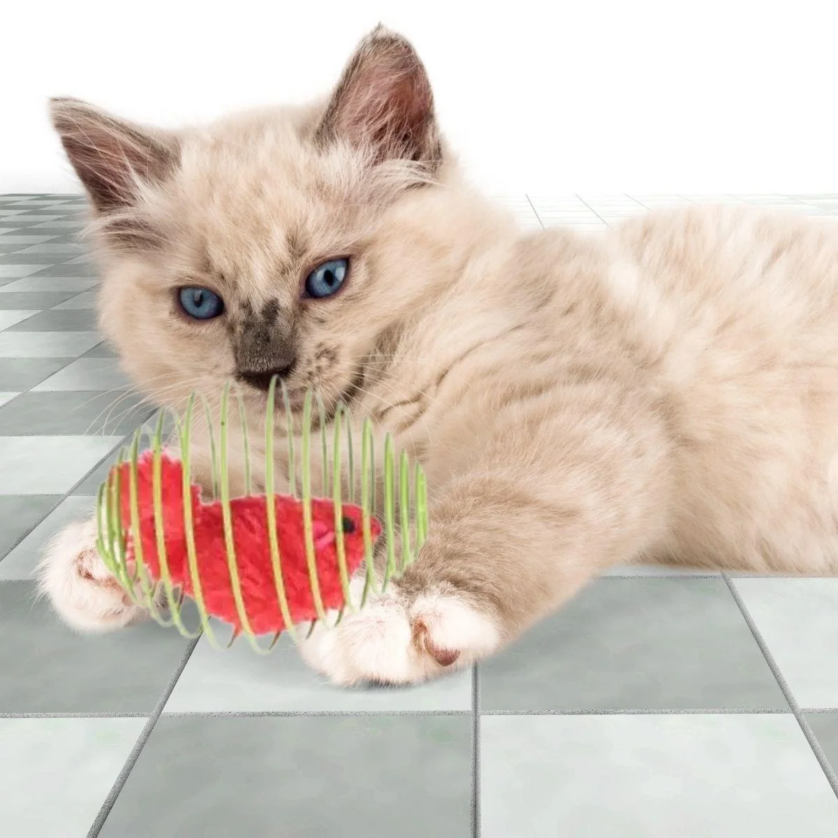 Yaylı Metal Fareli Kafes Kedi Oyun Topu Sıçrayan Spiral Kedi Topu görsel 4