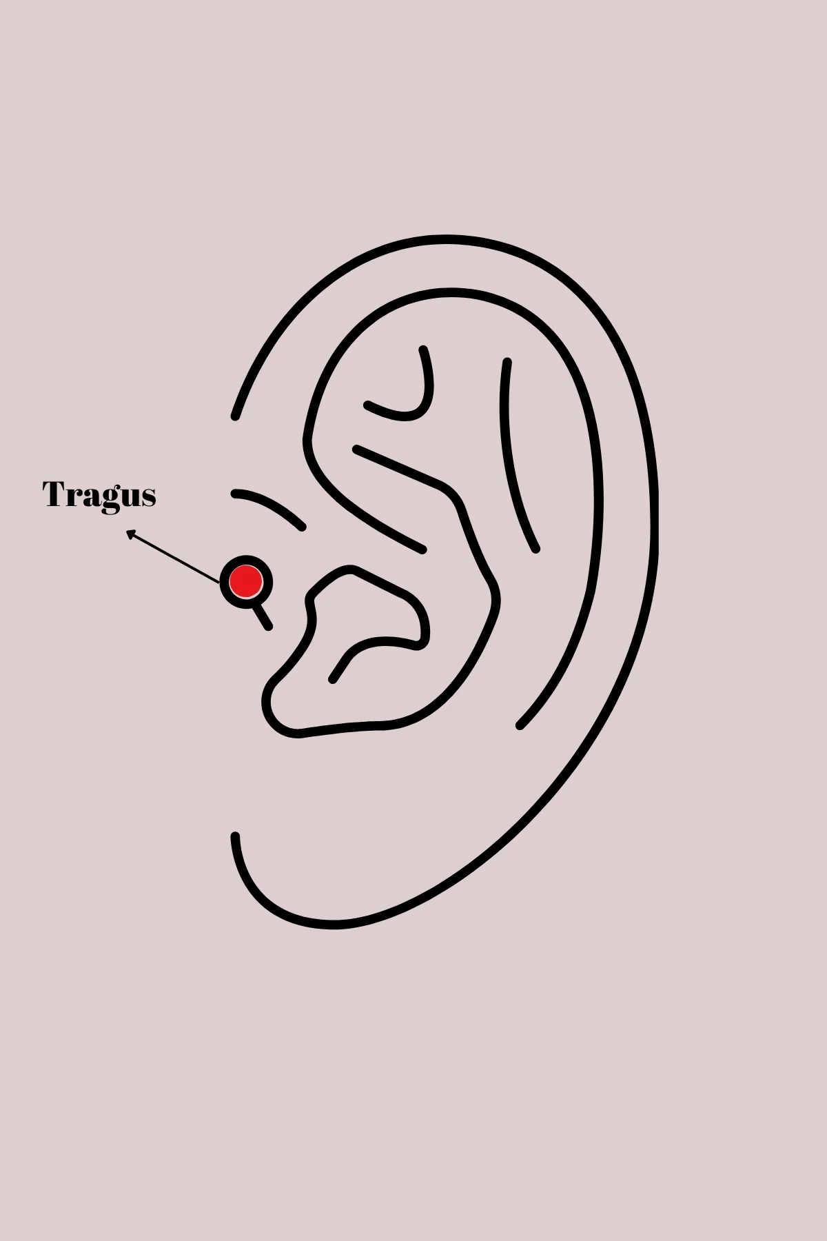 316L Çelik Gümüş Renk Zirkon Taşlı Göz Tragus Piercing görsel 2
