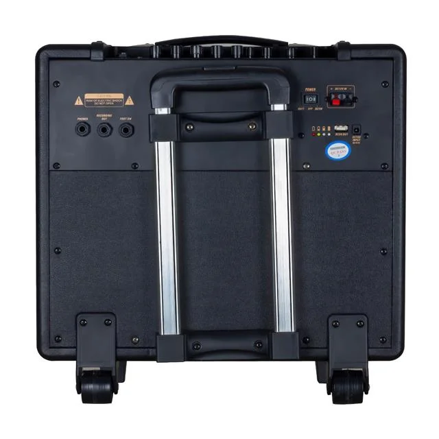 Shile GT-10 El krofonlu USB/SD/BT Taşınabilir Hoparlör görsel 3