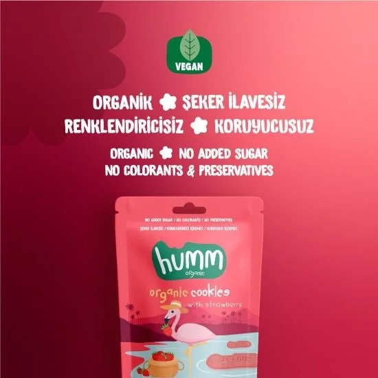Organik Vegan Çilekli Kurabiye 55 Gr görsel 2