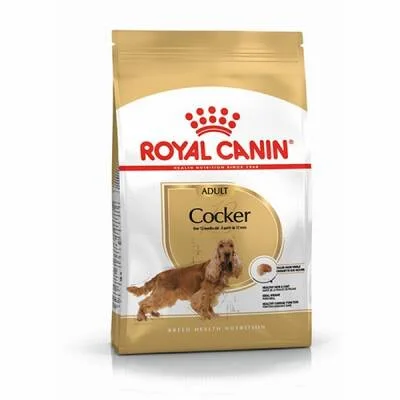 Cocker Spaniel Adult Yetişkin Köpek Maması 3 Kg
