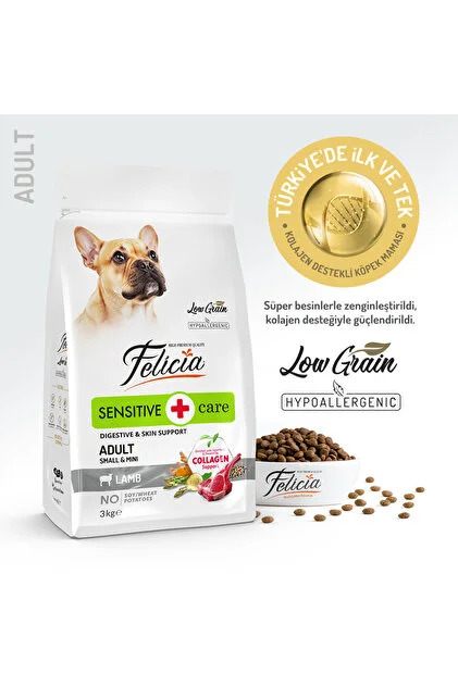 Kuzulu az tahıllı mini ırk yetişkin köpek maması 3 kg felicia