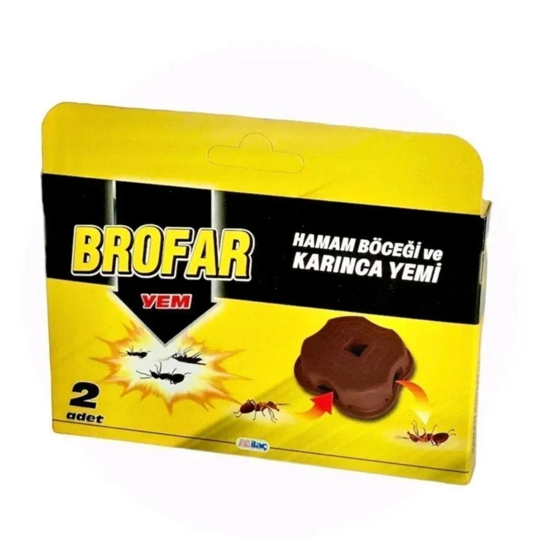2'li Hamam Böceği ve Karınca Ye