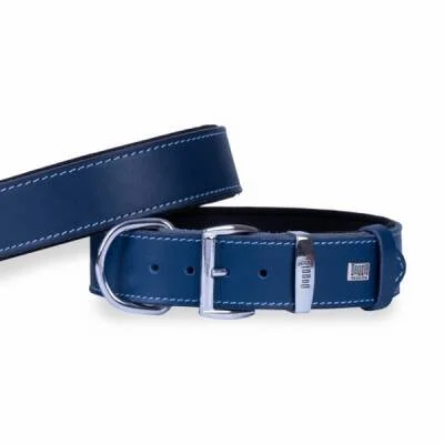 Konfor Deri Köpek Boyun Tasması Royalblue 4x47 55 Cm