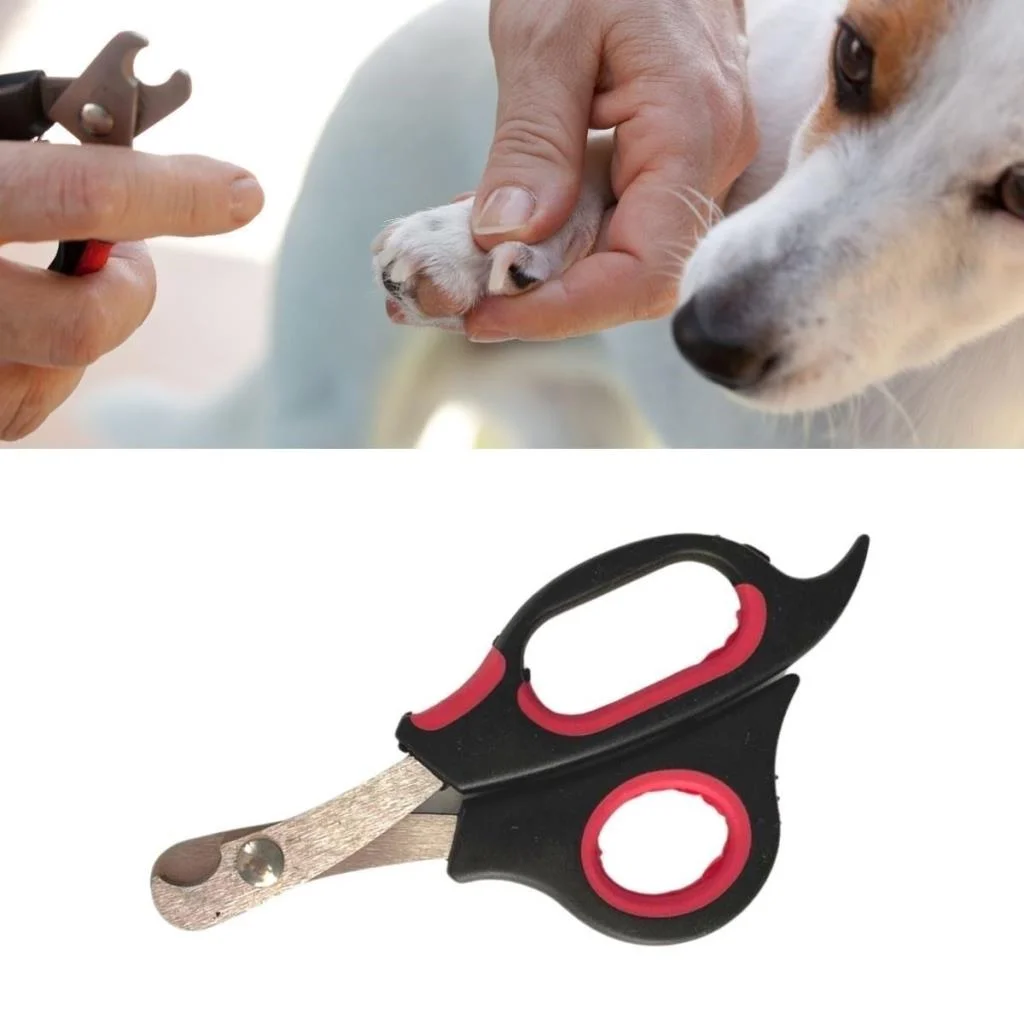 Büyük Irk Köpek Kedi Çelik Uçlu Evcil Hayvan Tırnak Makası Pati Bakım Aleti Ergonomik Kaymaz (adet fiyatıdır) görsel 5