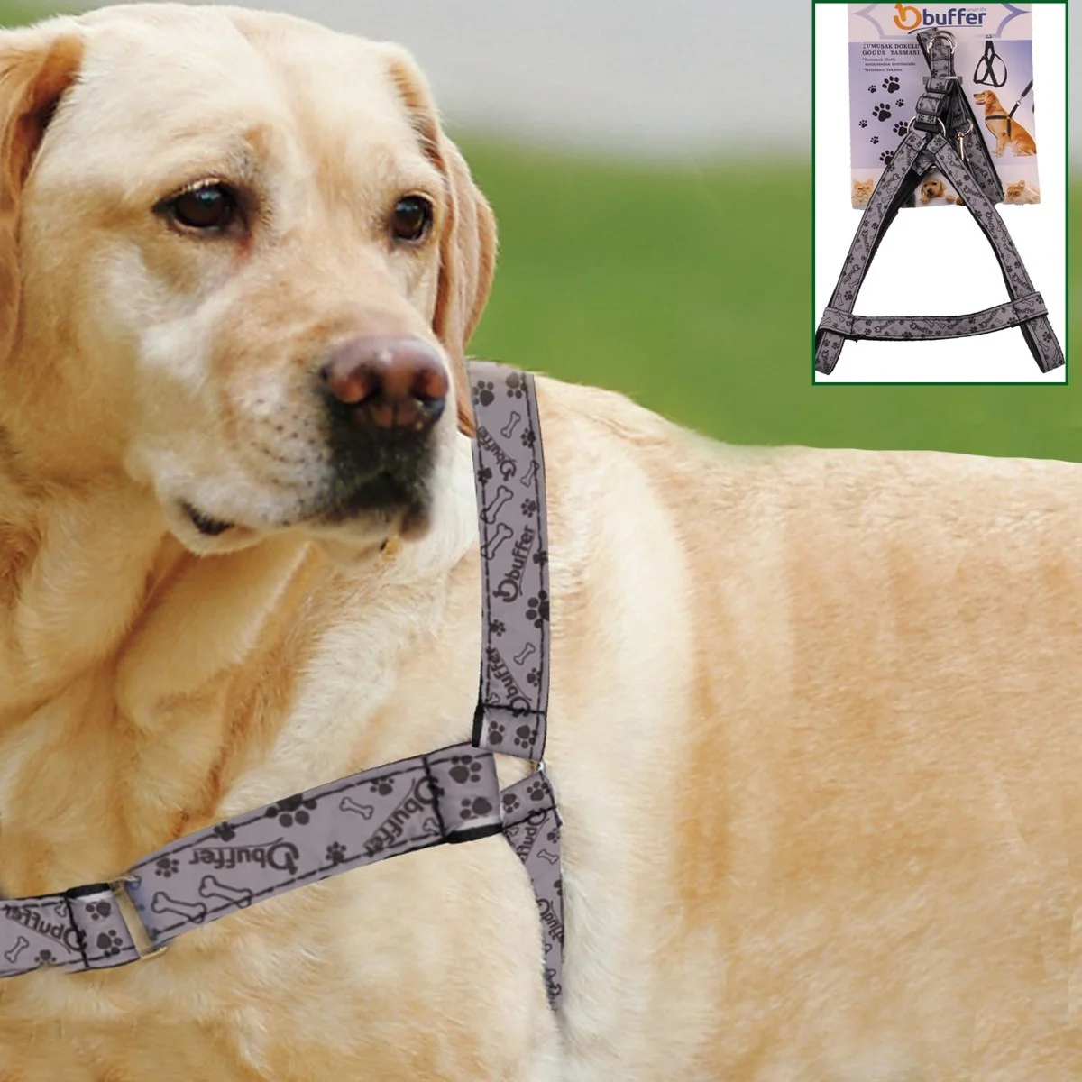 Ergonok Yumuşak Dokulu Terletmez Köpek Göğüs Tasması Medium görsel 2