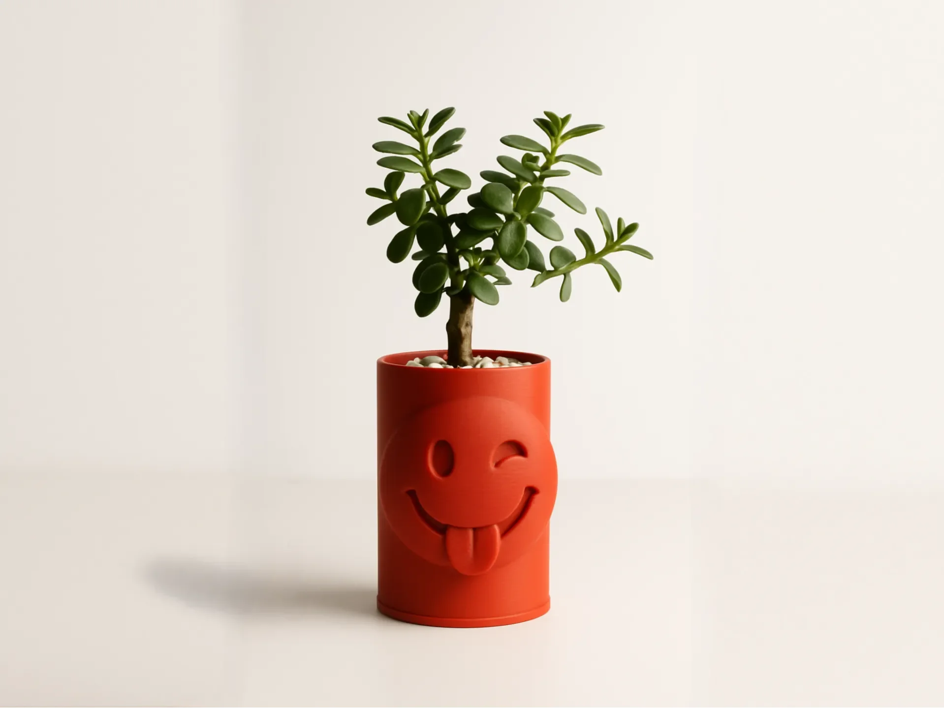 3D Baskı Emoji Planter - Göz Kırpan Yüzlü Sukulent Saksısı-Turuncu