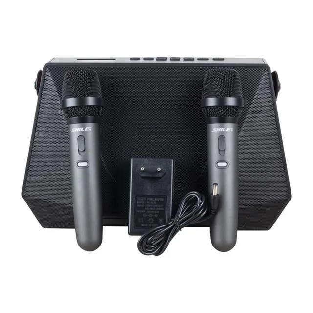 Shile SL-3A İki El krofonlu Kumandalı USB/SD/BT Portatif Hoparlör görsel 5