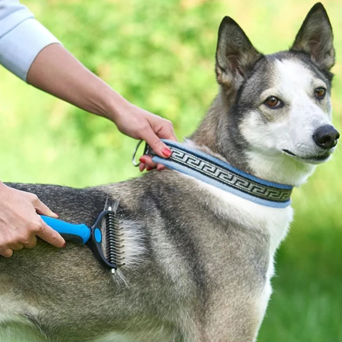 Plastik Saplı Metal Kedi Köpek Bakım Kıtık Tüy Topak Açıcı Tarak görsel 3