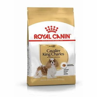 Cavalier King Charles Adult Yetişkin Köpek Maması 1,5 Kg