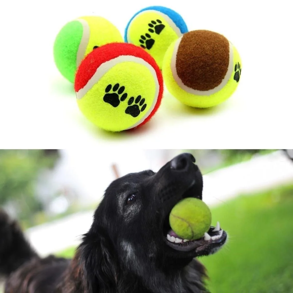 3lü Renkli Desenli Tenis Topu Kedi Köpek Oyuncağı (adet fiyatıdır) görsel 3